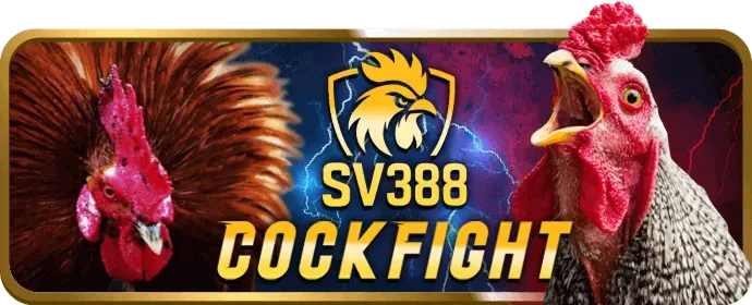 Hoàn Trả bl88